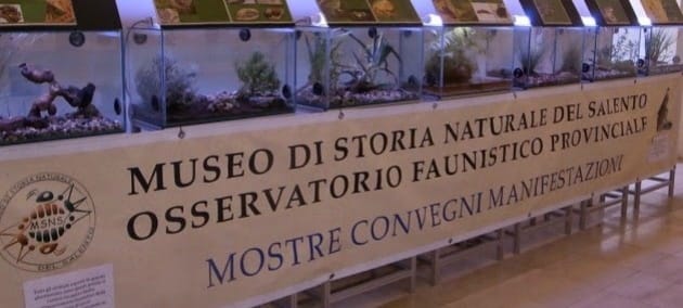 Museo di Storia naturale del Salento